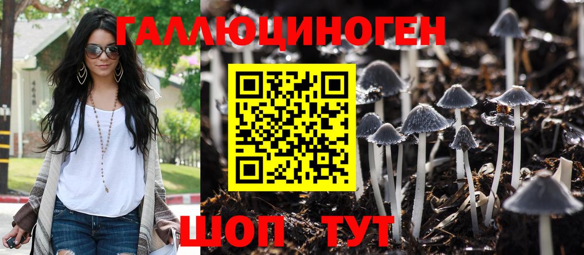 Красноуфимск  Псилоцибиновые грибы Magic Shrooms  Вход с VPN 